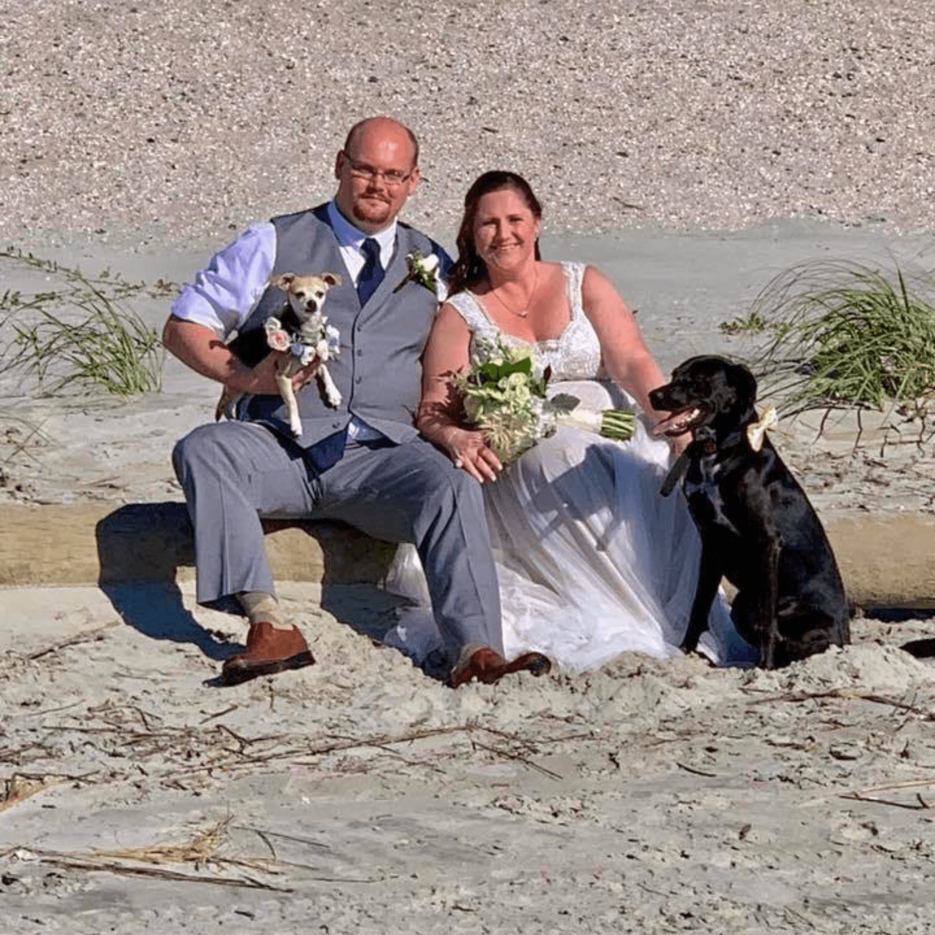 Of course we included our dogs in some of our wedding photos!