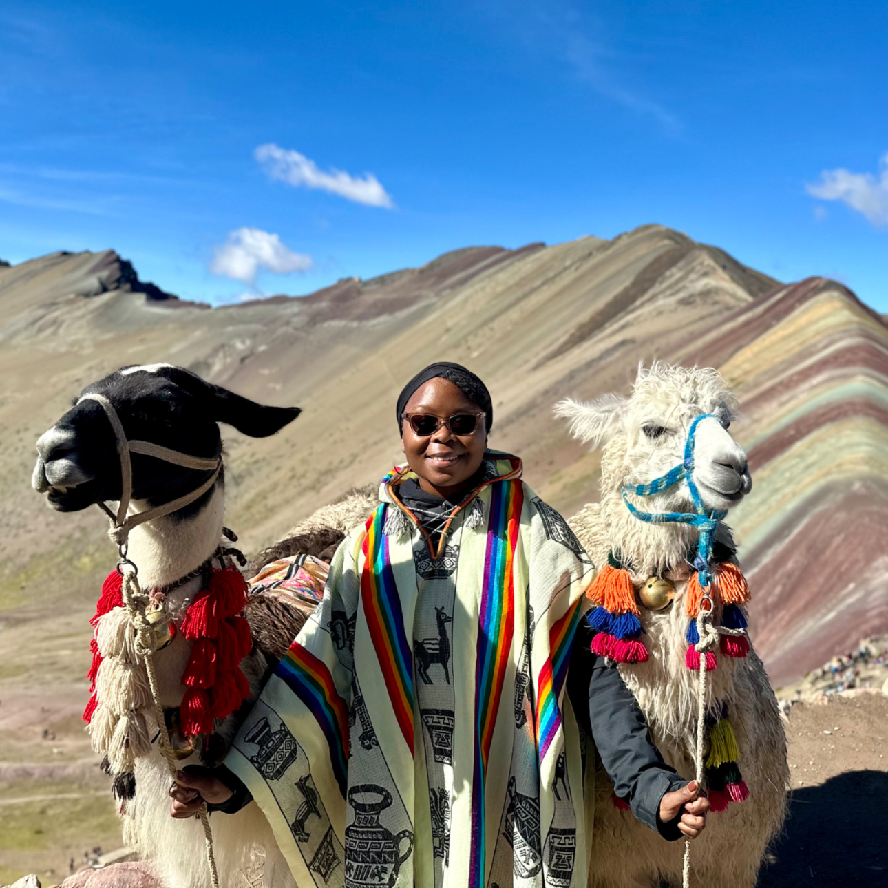 Hiked Rainbow Mountain in Peru to meet these two alpacas.