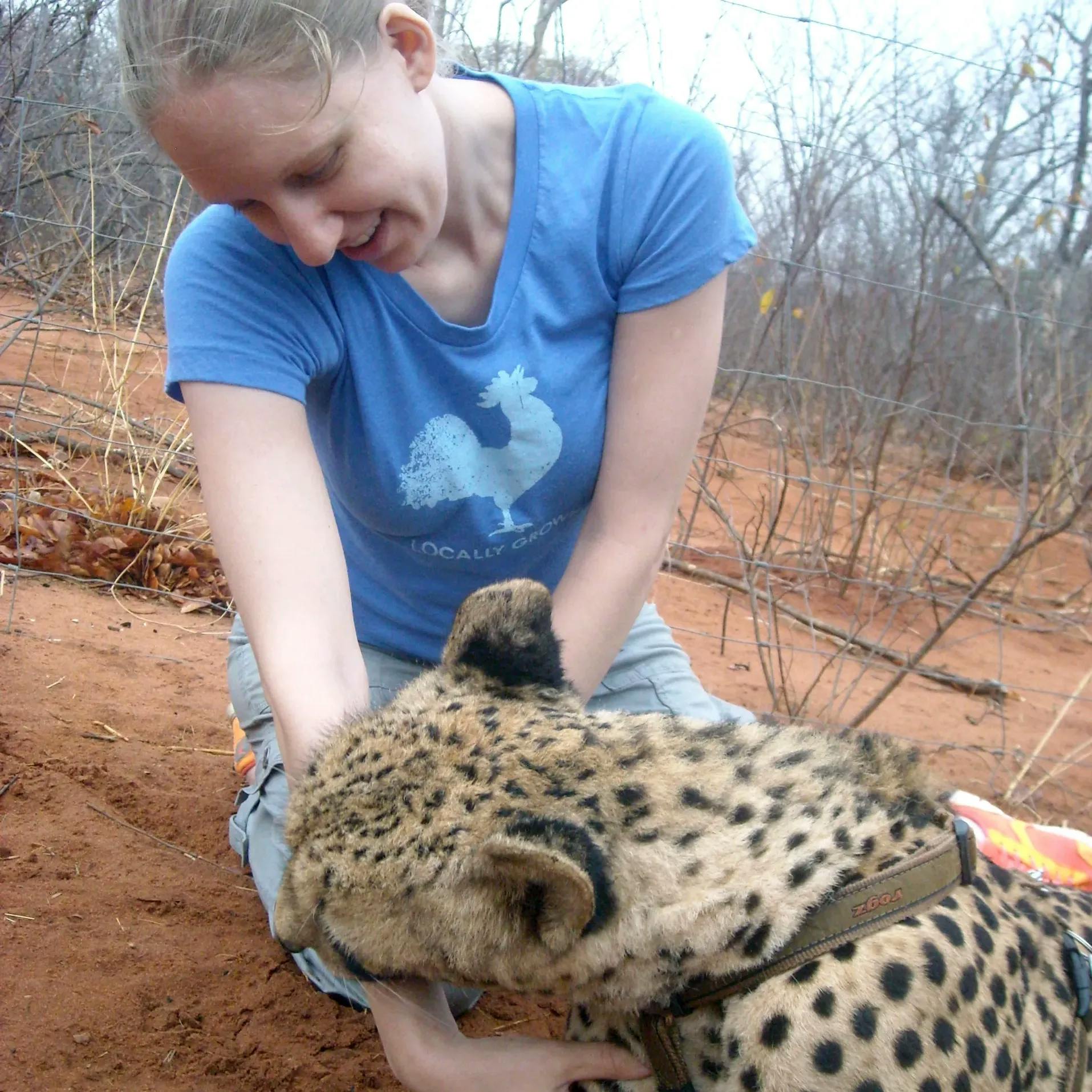 On my first trip to Zambia I visited an animal refuge and got to cuddle with some cheetahs. Such an amazing experience!