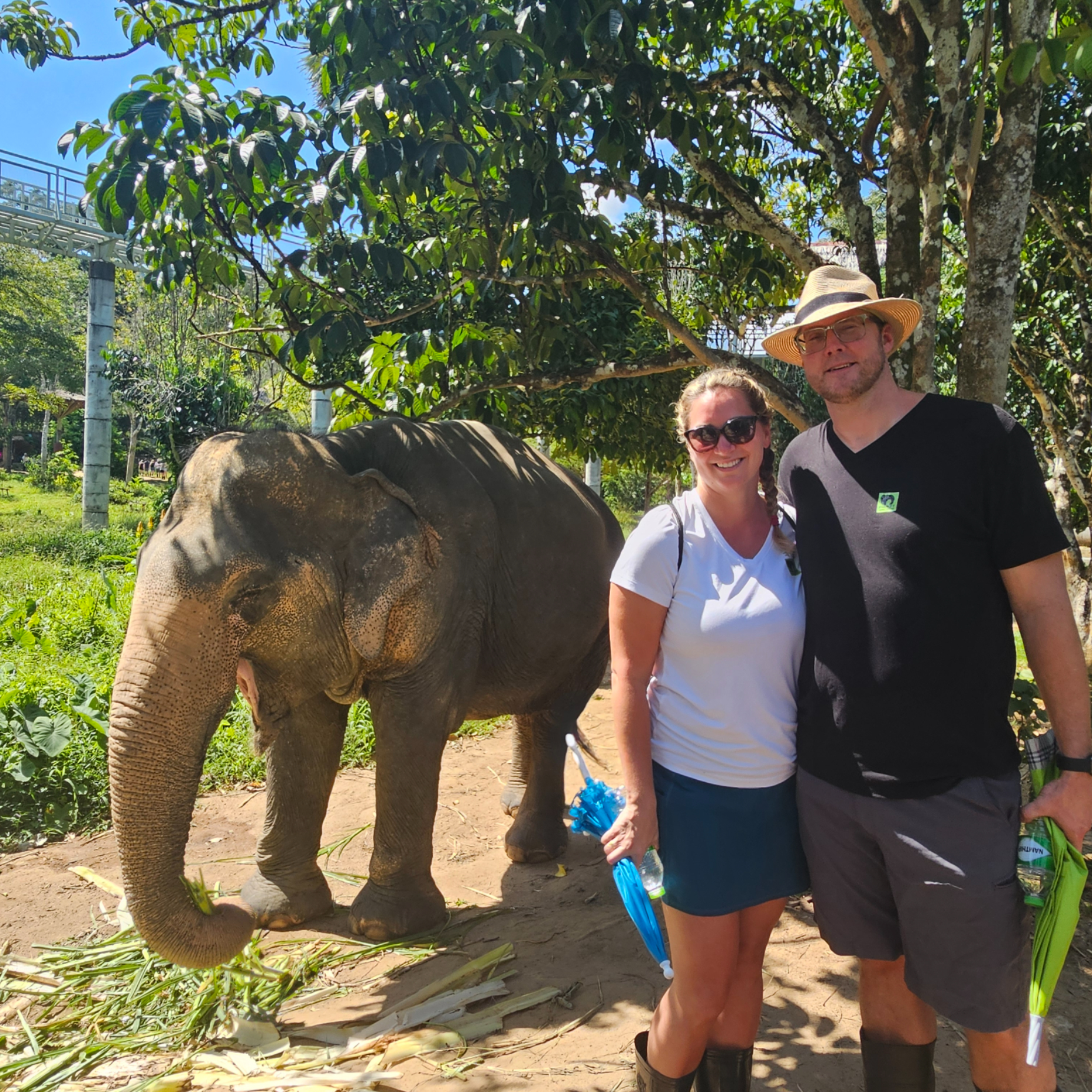 Feeding the Elephants at the Elephany Sanctuary in Thailand